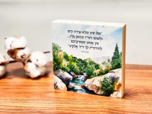 בלוקים מעוצבים מעץ