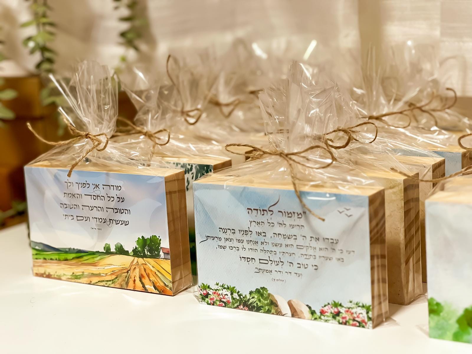 בלוק עץ מעוצב 10*15 - כמויות גדולות – תמונה 18