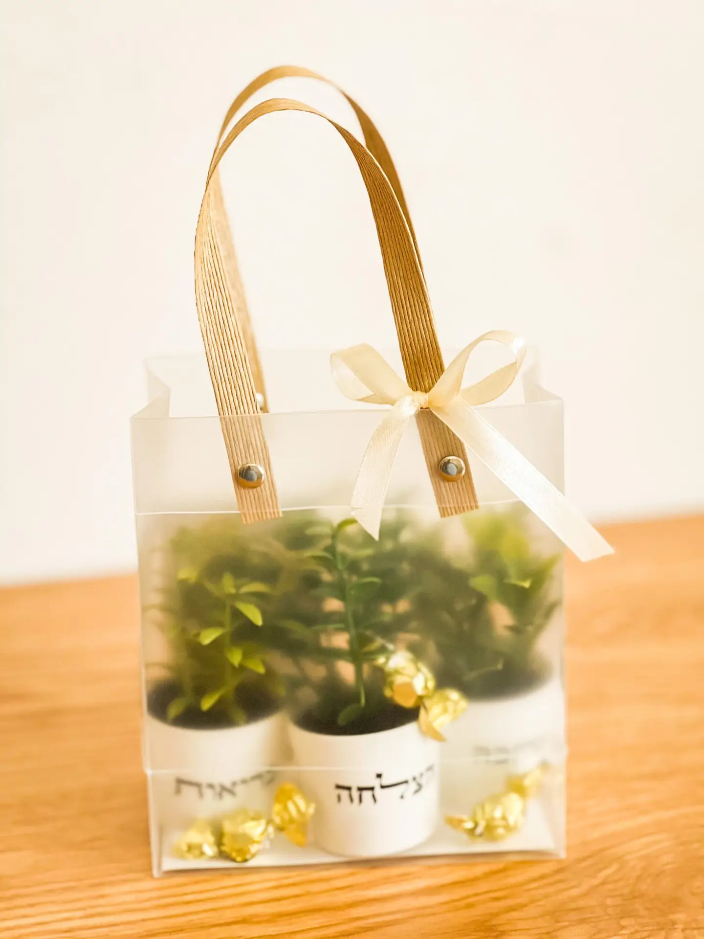 מארז עציצים ואיחולים – תמונה 2