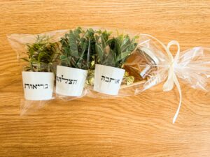 מארז עציצים ואיחולים