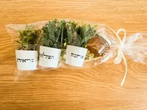 מארז עציצים ואיחולים