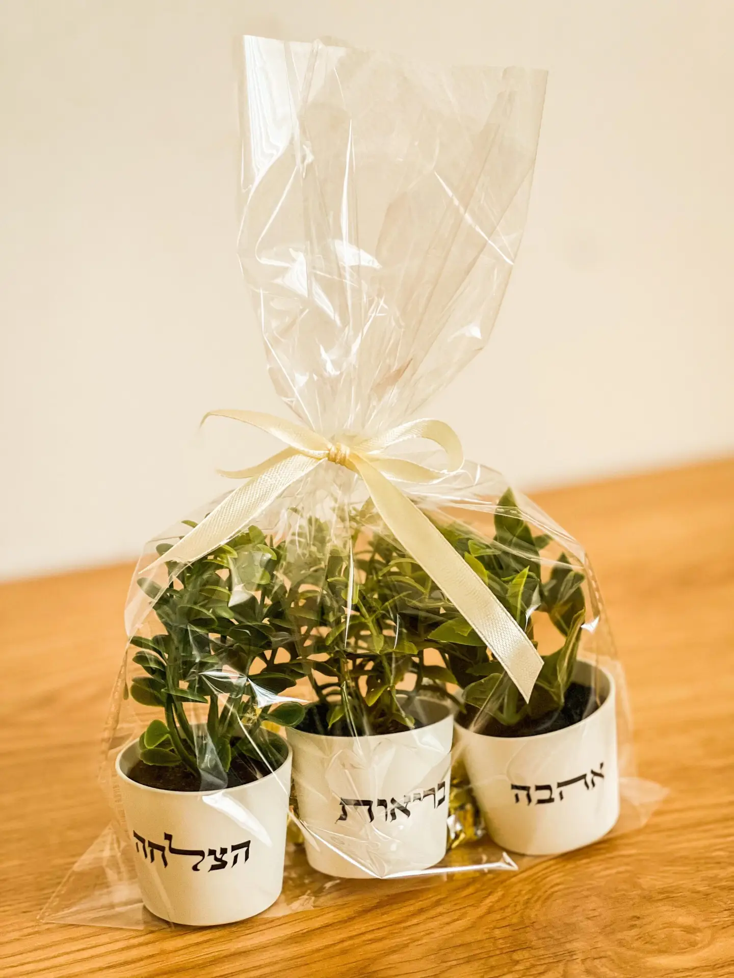 מארז עציצים ואיחולים – תמונה 3