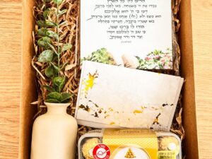 המתנה המדוייקת - באריזה מוגדלת!